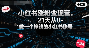 小红书涨粉变现营，21天从0-1做一个挣钱的小红书账号-百盟网