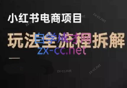 菲菲老师·小红书电商玩法(更新9月)-百盟网