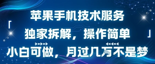 苹果手机技术服务，独家拆解，操作简单，小白可做，月过1W不是梦-云创网