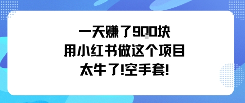 一天挣了9张用小红书做这个项目太牛了，空手套-百盟网