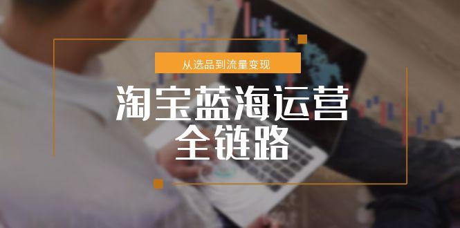 淘宝蓝海运营全链路，从选品到流量变现，小类目突围完整方案-百盟网