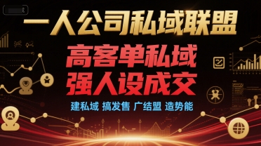 一人公司私域联盟，高客单私域，强人设成交，建私域 搞发售 广结盟 造势能-百盟网