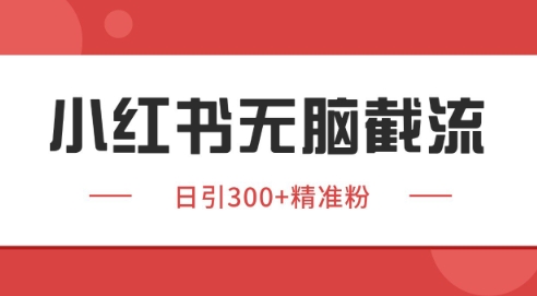 小红书截流同行客源，独家野路子获客玩法 日引200+暴力获客【揭秘】-智宝网创