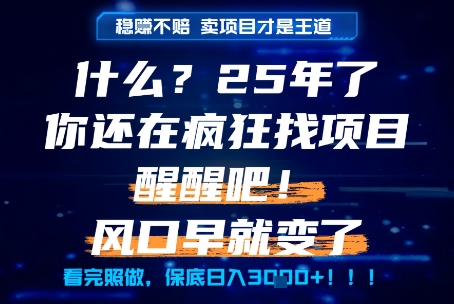 什么？25年你还在疯狂找项目做，醒醒吧，看完这些你全都懂了！【揭秘】-百盟网