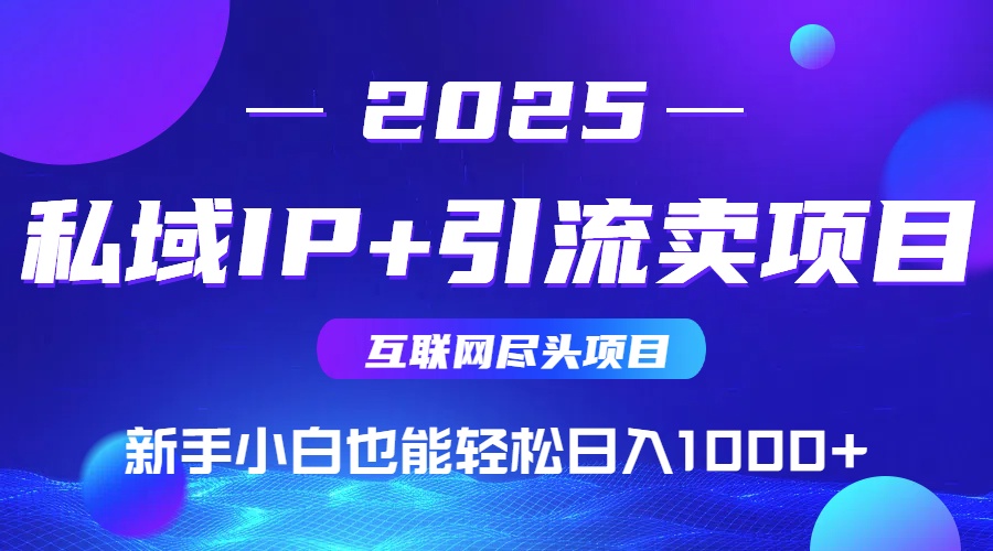 2025网创尽头项目，私域IP+引流，新手小白也能在家日入1000+-美客咖