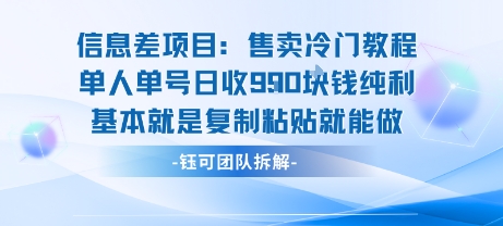 信息差项目：售卖冷门教程单人单号日收9张纯利基本就是复制粘贴就能做-有量联盟